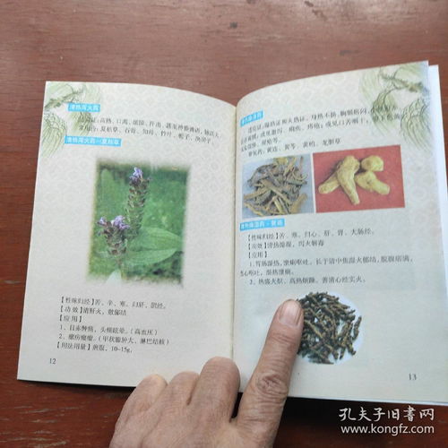 《中醫養生保健服務指南 婦女、高血壓及中醫基礎三冊精要》